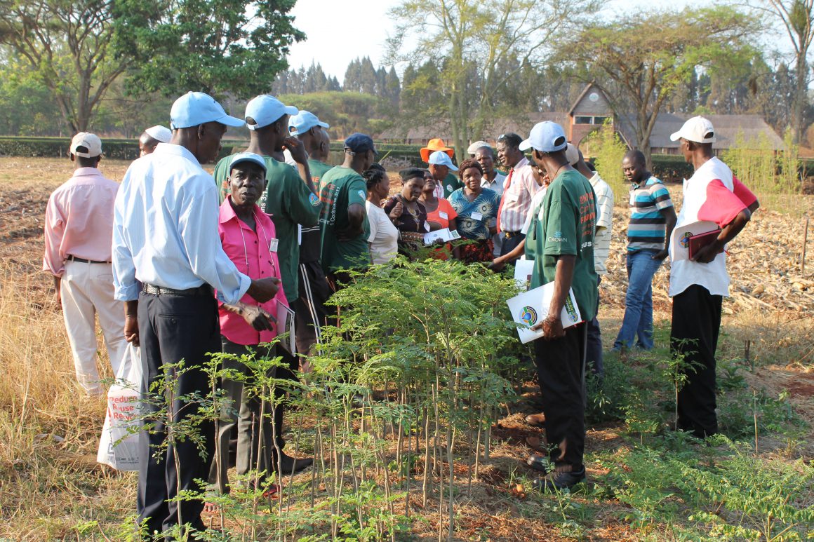 Here are farmers with I Was Hungry, partners of Bonvera, that are growing the superfood moringa in our Kutano products. 